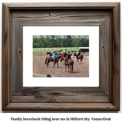 family horseback riding near me in Milford city , Connecticut